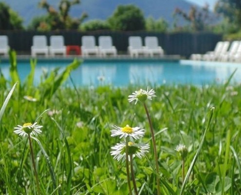 Hotel/Camping Europa Pool mit Wiese