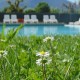 Hotel/Camping Europa Pool mit Wiese