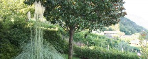 Garten der Villa La Vista Vercana